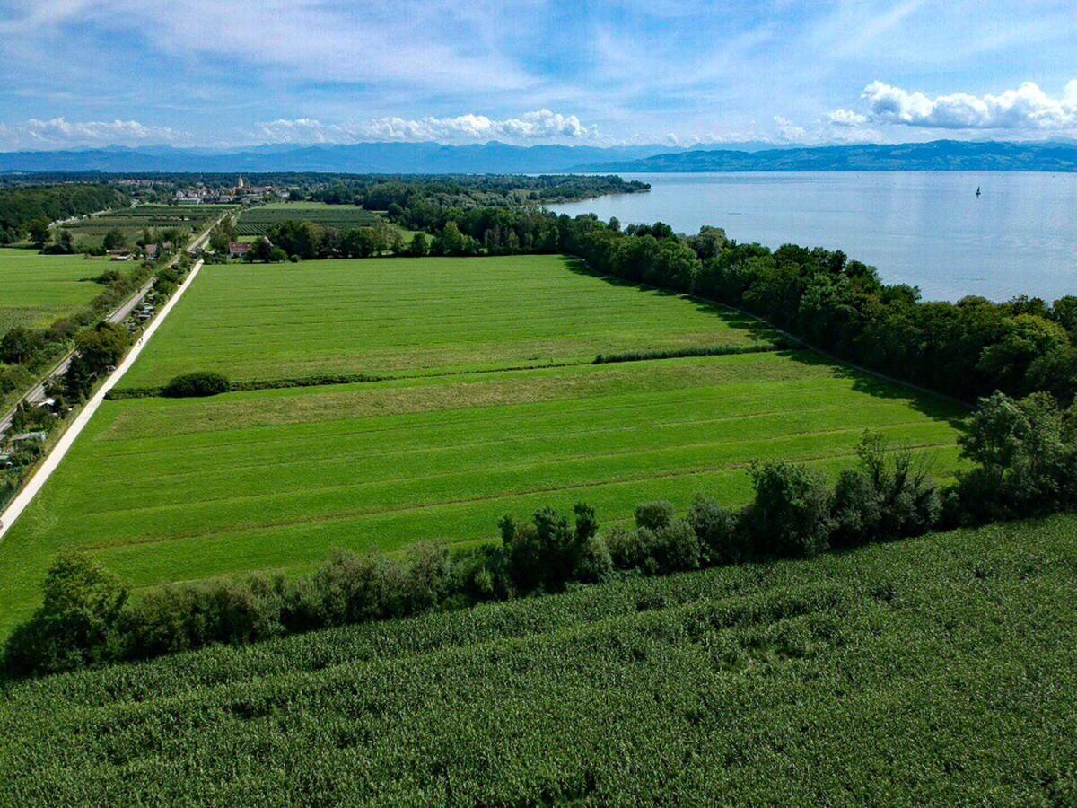 Wohlfuehlloft Seekretzer Mit Privatem Seezugang FDH Esterno foto