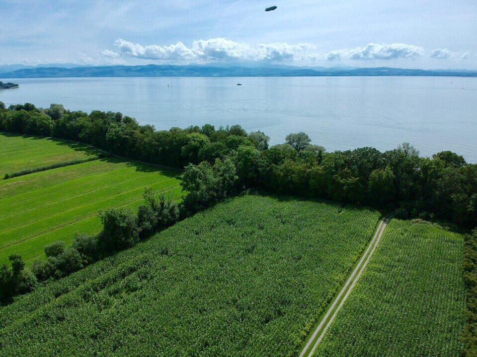 Wohlfuehlloft Seekretzer Mit Privatem Seezugang FDH Esterno foto